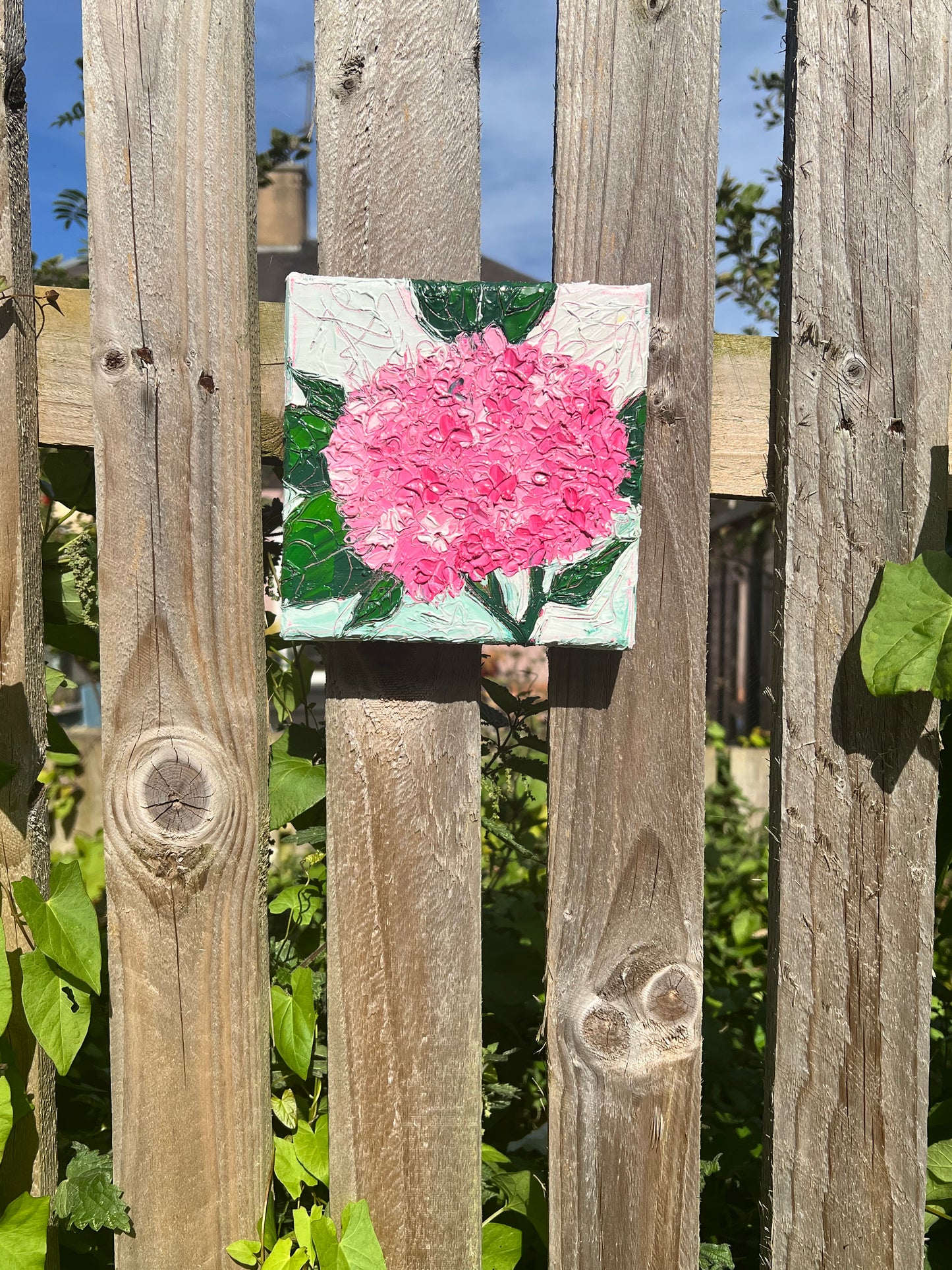 Pink Hydrangea - 6"x6"