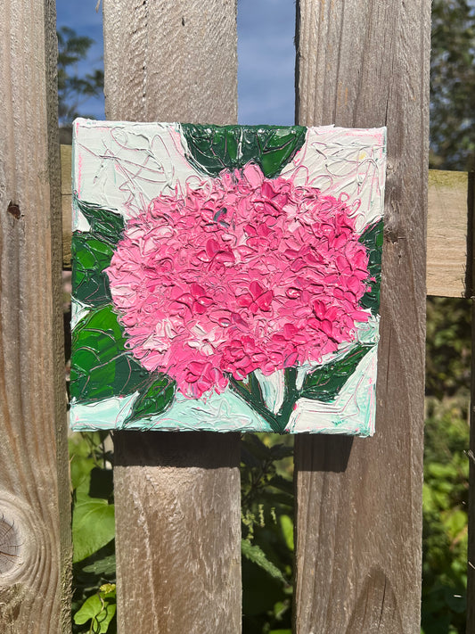 Pink Hydrangea - 6"x6"