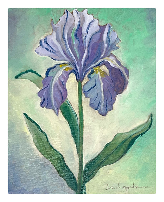 Blue Iris - 10"x8"