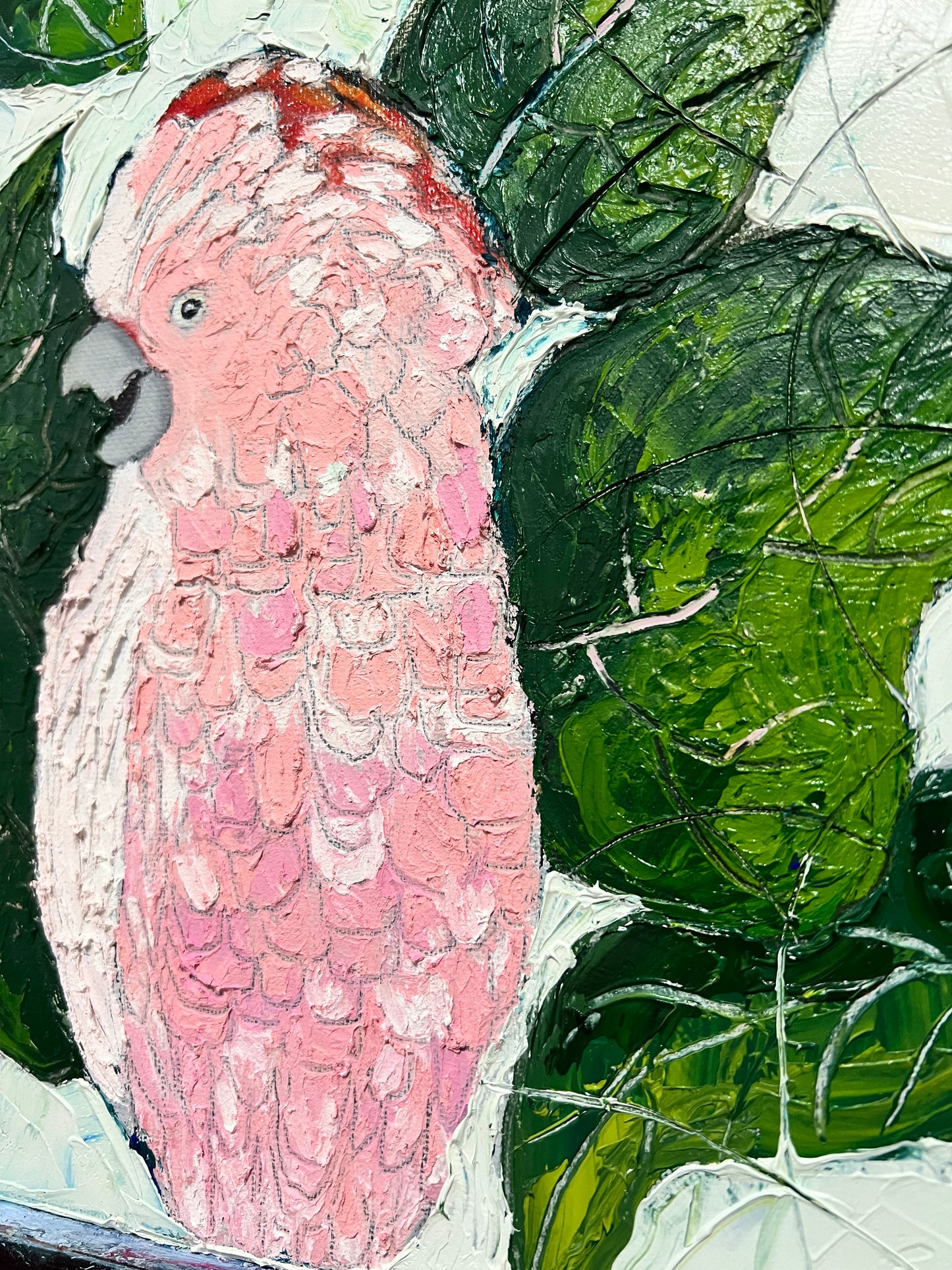 Pink Cockatoo - 10"x10"