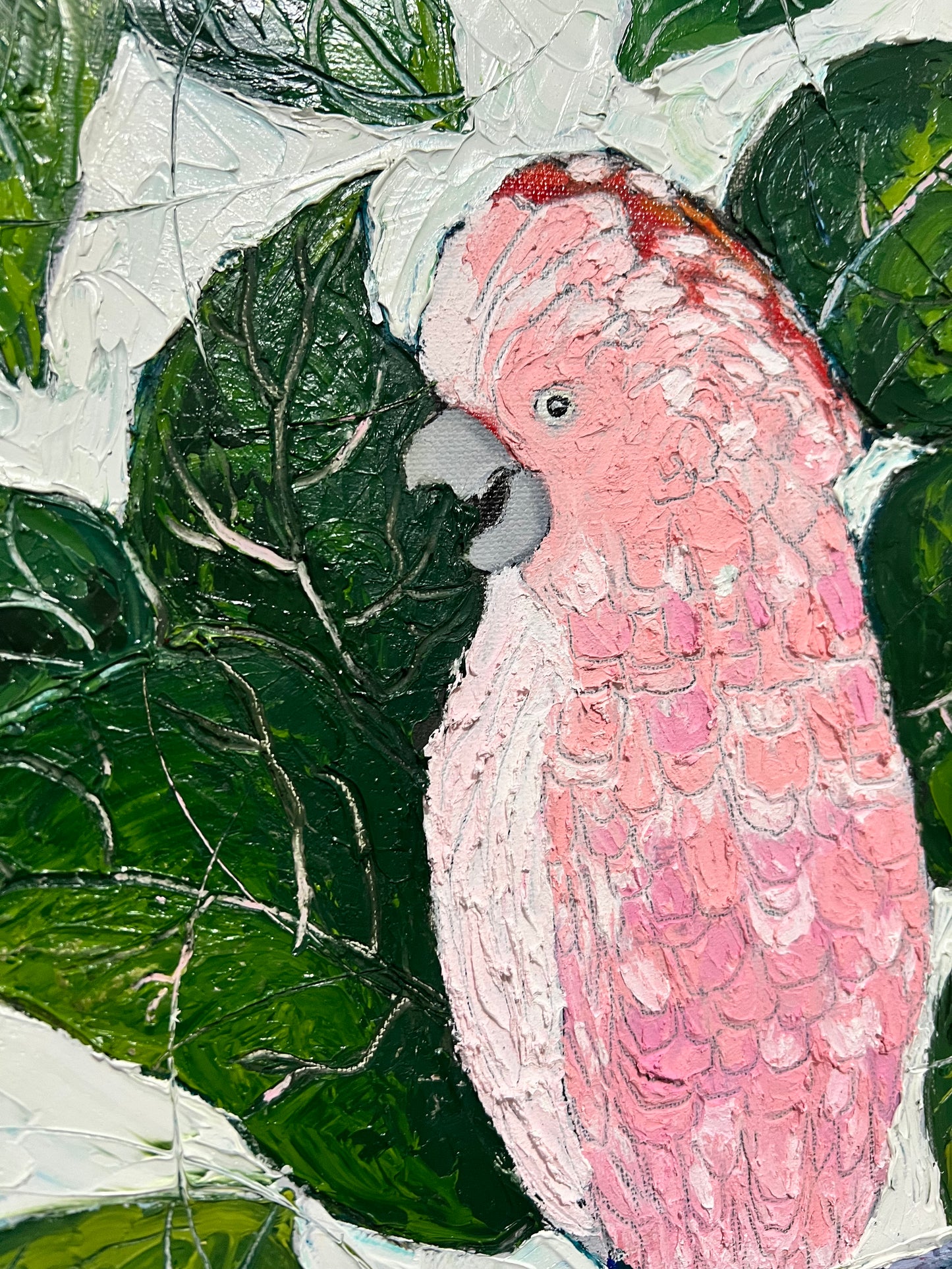 Pink Cockatoo - 10"x10"