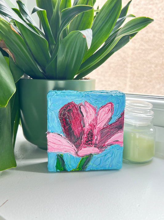 Pink Magnolia - 4" x 4"